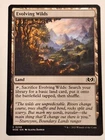 Evolving Wilds