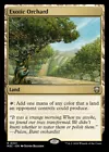 Exotic Orchard #