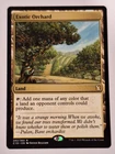 Exotic Orchard