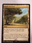 Exotic Orchard