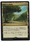 Exotic Orchard