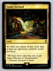 Exotic Orchard #