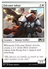 Falconer Adept