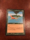 Birds of Paradise