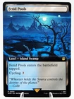 Fetid Pools [Extended Art] #