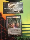 Fertile Thicket