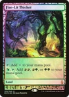 Fertile Thicket