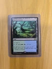 Flooded Grove