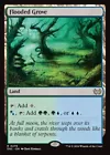 Flooded Grove #
