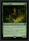 Oracle of Mul Daya
