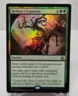 Rishkar's Expertise