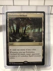 Forbidden Orchard