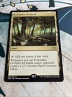 Forbidden Orchard