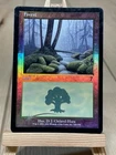 Forest #