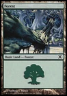 Forest #