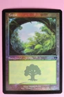 Forest #