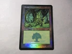 Wild Onslaught