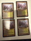 Llanowar Wastes #