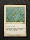 Green Ward #