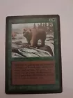 Grizzly Bears