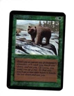 Grizzly Bears