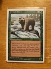 Grizzly Bears