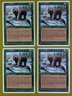 Grizzly Bears