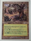 Havenwood Battleground