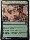 Havenwood Battleground
