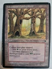 Havenwood Battleground