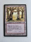 Havenwood Battleground
