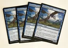 Hinterland Drake