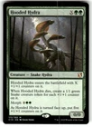 Hooded Hydra