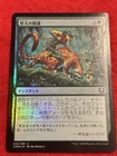 Hunter's Insight