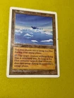 Ice Floe
