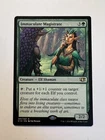Immaculate Magistrate