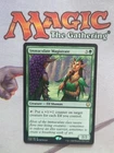 Immaculate Magistrate