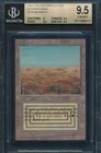 Scrubland #