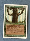 Ironroot Treefolk