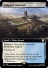 Irrigated Farmland #