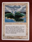 Island Sanctuary