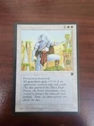 Ivory Guardians