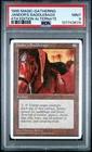 Jandor's Saddlebags