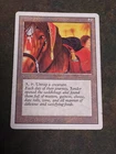 Jandor's Saddlebags