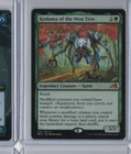 Kodama of the North Tree