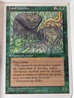 Land Leeches