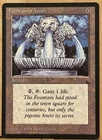 Fountain of Youth