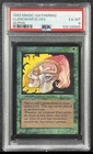 Llanowar Elves