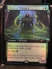 Llanowar Wastes