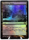 Llanowar Wastes #